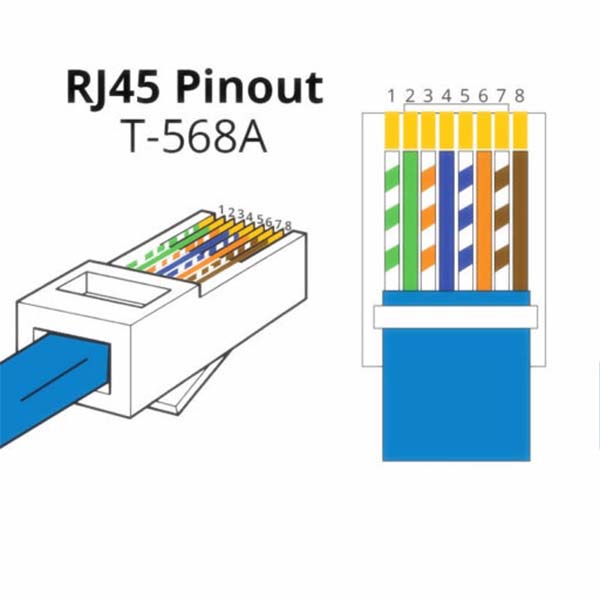 10 Connettori Plug Per RJ45 CAT5 8 Pin